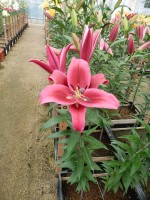 [4158 Campaign Mak No01.JPG]